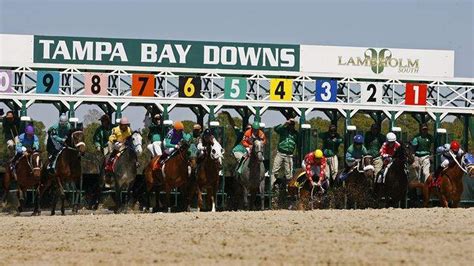 tampa bay downs entries